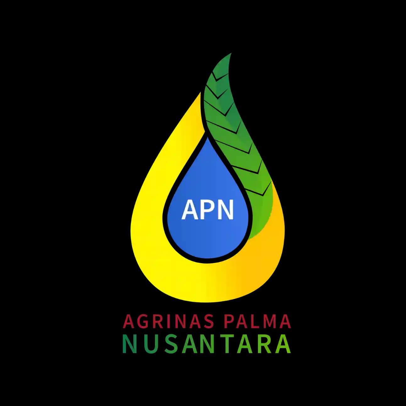 APN Logo